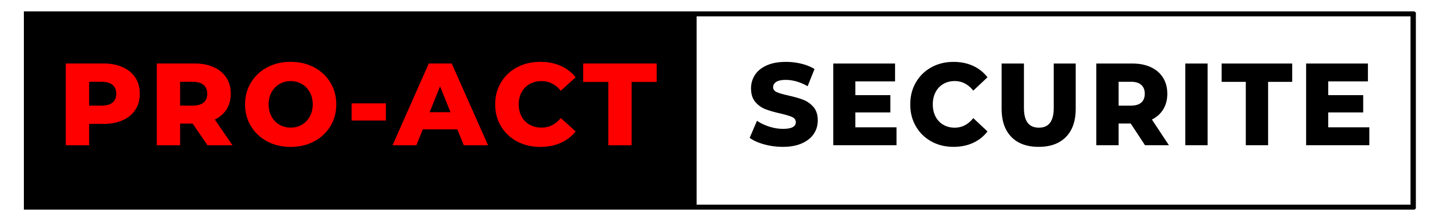 PRO ACT SECURITE